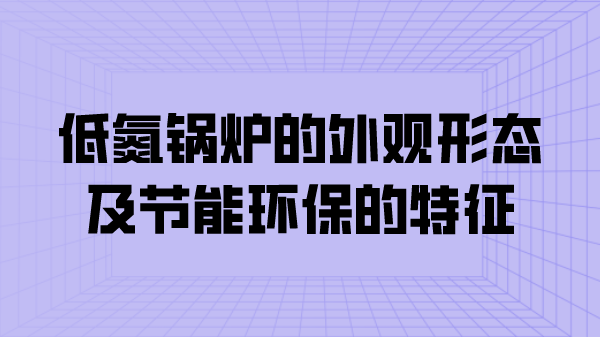 低氮鍋爐的外觀(guān)形態(tài)及節能環(huán)保的特征